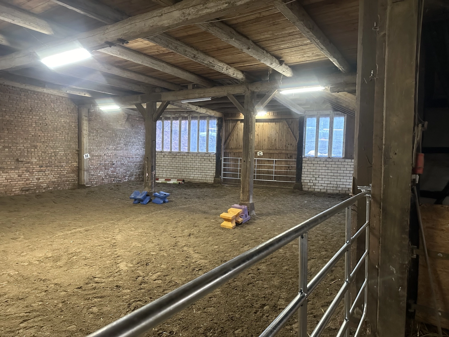 Reit und Ponyparadies Roos Kindergeburtstagsparty-Dekorationen