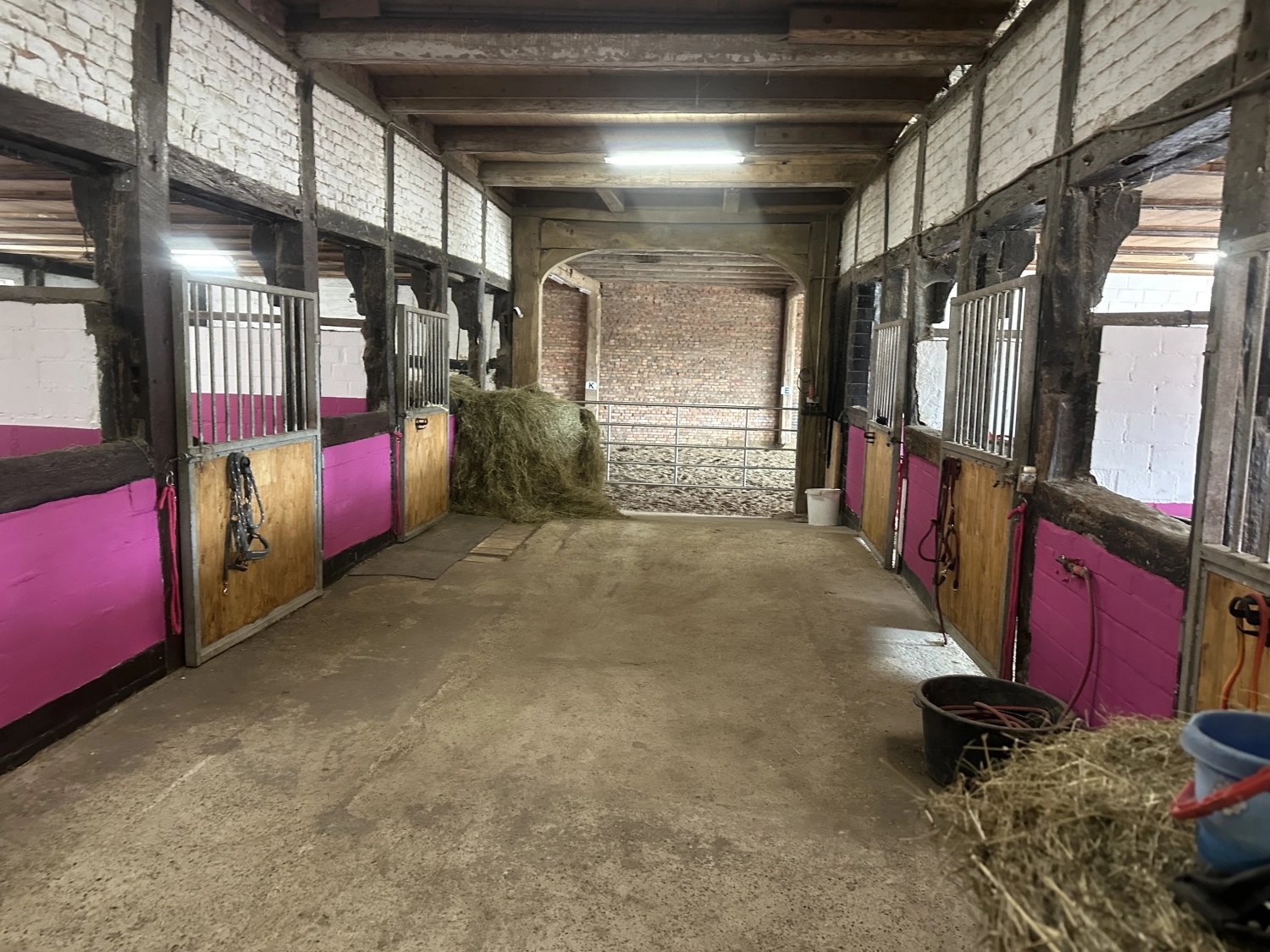 Reit und Ponyparadies Roos Kindergeburtstagsparty-Dekorationen